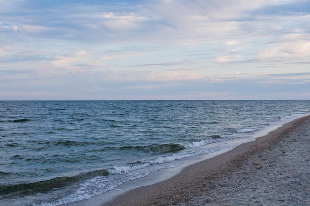 澄んだ水と空の海のビーチ