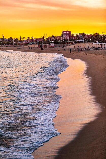 The sea and beach