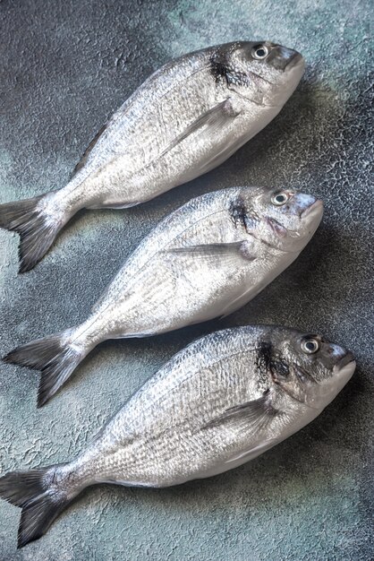 Sea bream (dorada) fish