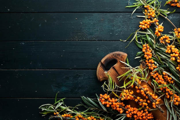 Sea buckthorn berries on black wooden background Top view Free space for your text