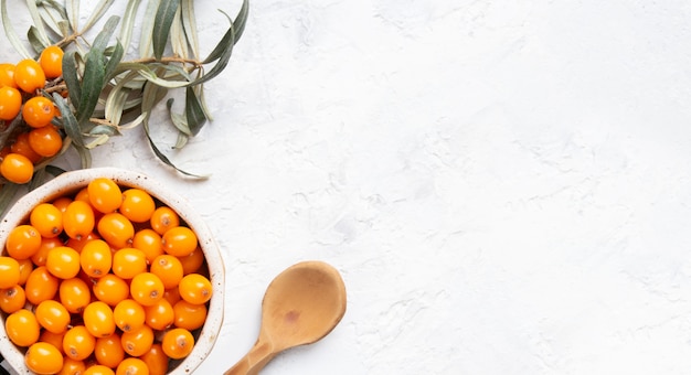 Sea buckthorn berry on a light background