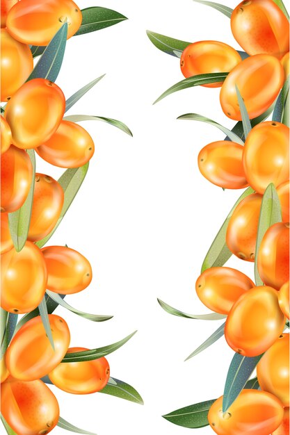 Sea buckthorn isolated on the white. Illustration in 3d style. The concept of realistic image of medical plants, herbs.