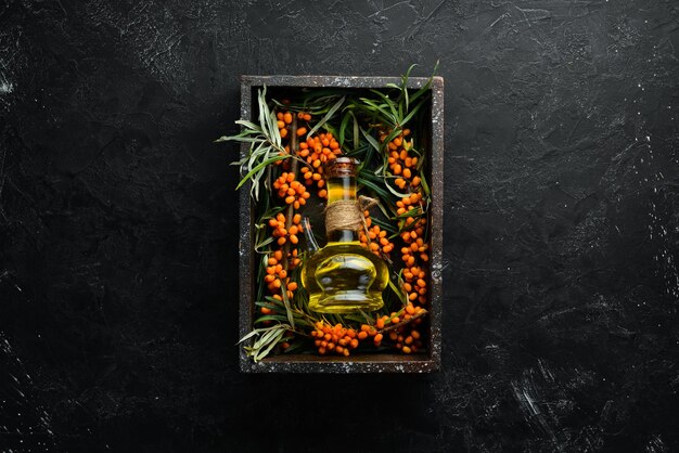 Sea buckthorn oil Fresh sea buckthorn berries on a twig Top view Free space for your text