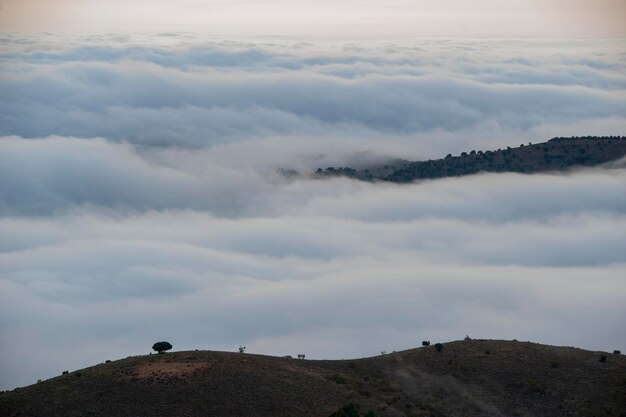 Sea of clouds, in the Natural Park. 