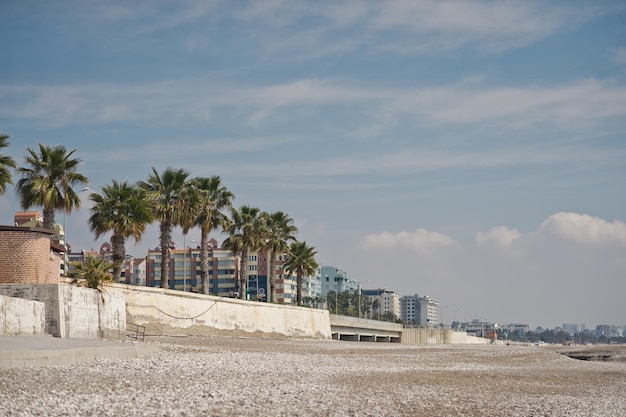 Sea coast beach of pebbles 8647