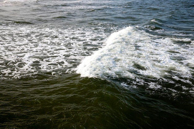 冷たいバルト海の海岸