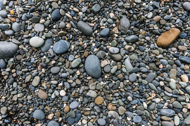 Sea coast, pebbles on shore