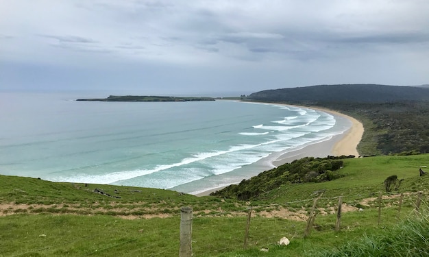 Costa del mare dell'isola del sud in nuova zelanda