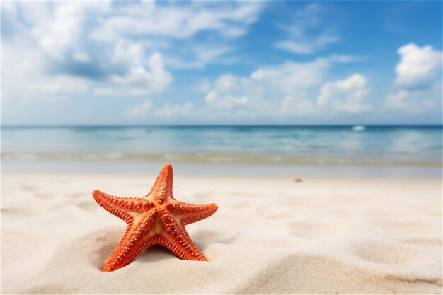 Sea coast with sand ocean wave and star fish beach with sandy seaside blue transparent water surface