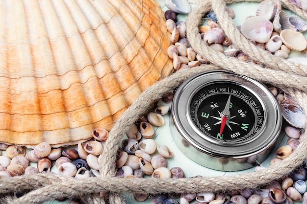 Sea compass and seashells