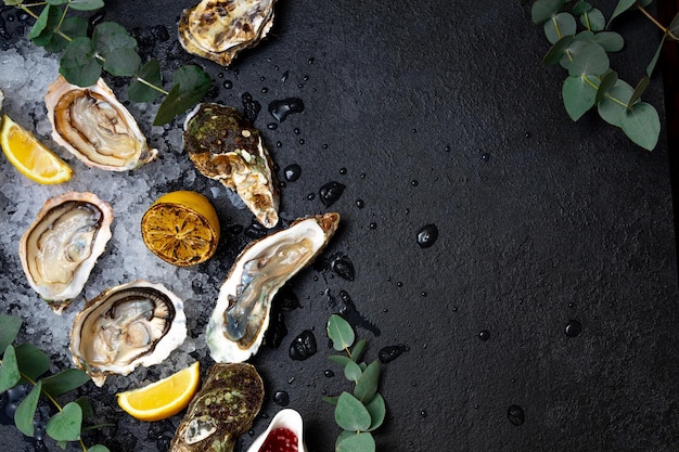 Sea delicacy fresh open oysters laid out on ice on a dark background the background is decorated with eucalyptus branches lemon closed oysters and sauce