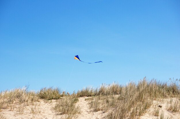 Sea dune with flying kite in blue sky