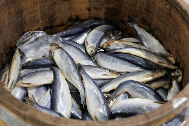 カウンターの上にスパイスを入れた塩水に漬けた海の魚