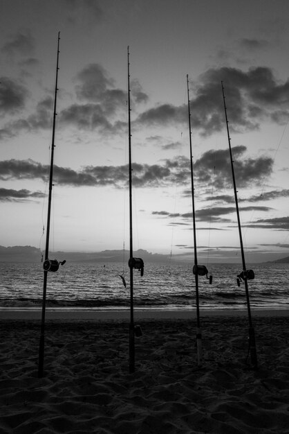 晴れた日の海釣りトローリングロッドリールは海を目覚めさせる