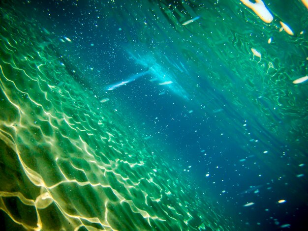 Photo sea floor with sand and sunlight reflections