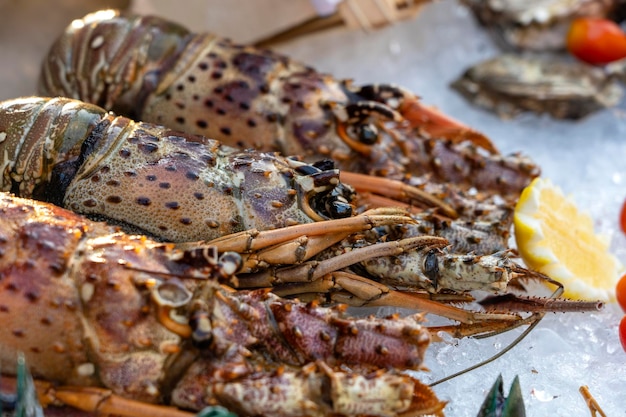 Sea fresh lobster at street market in Thailand Seafood concept Raw lobster for cooking closeup