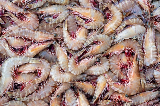 태국의 거리 시장에서 신선한 바다 새우 해산물 개념 요리를 위한 생 새우를 닫습니다.