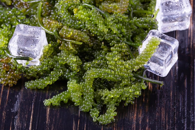 Sea grapes green caviar seaweed