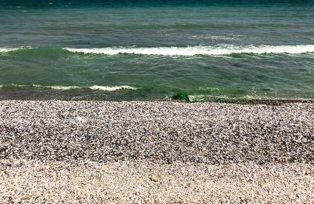 морской зеленый аквамарин волны линии солнечный пляж ракушек. волна пены океана.