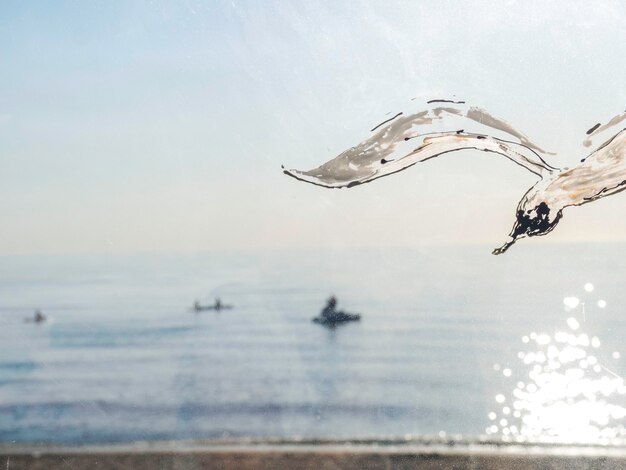 Sea gulls on the sea summer vibes