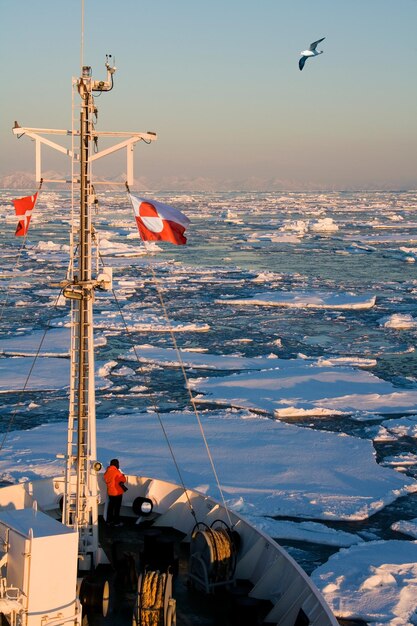 グリーンランド沖の海氷