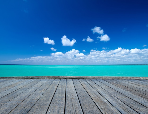 海の風景の背景