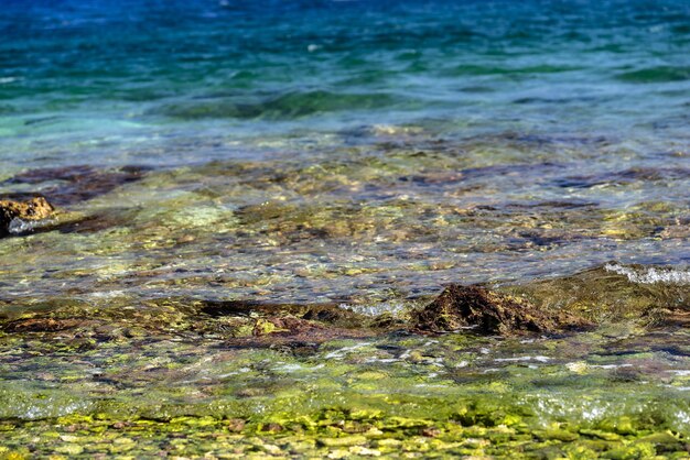 Sea landscape of a coastal part with a stony bottom closeup for an abstract natural background