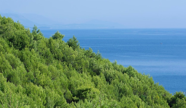 夏の日の海の風景