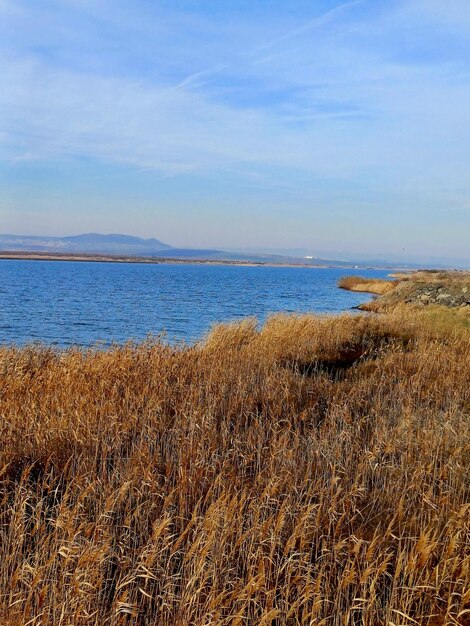 морской ландшафт