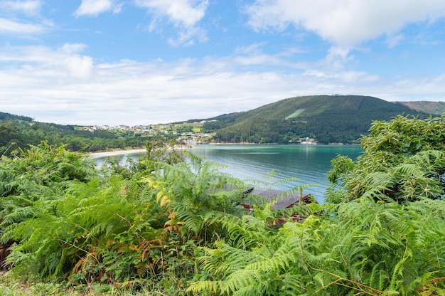 Foto paesaggio marino