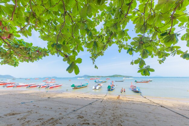 Sea leaves beach boat