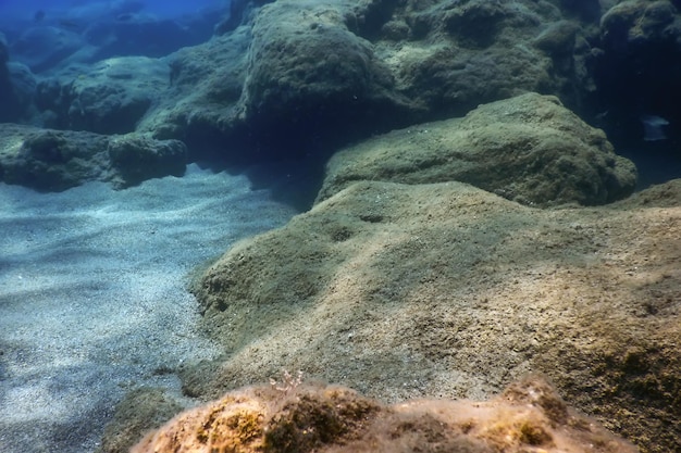 Sea Life Underwater Rocks Sunlight, Underwater Life