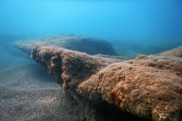 Морская жизнь подводный вид Солнечный свет, подводная жизнь.