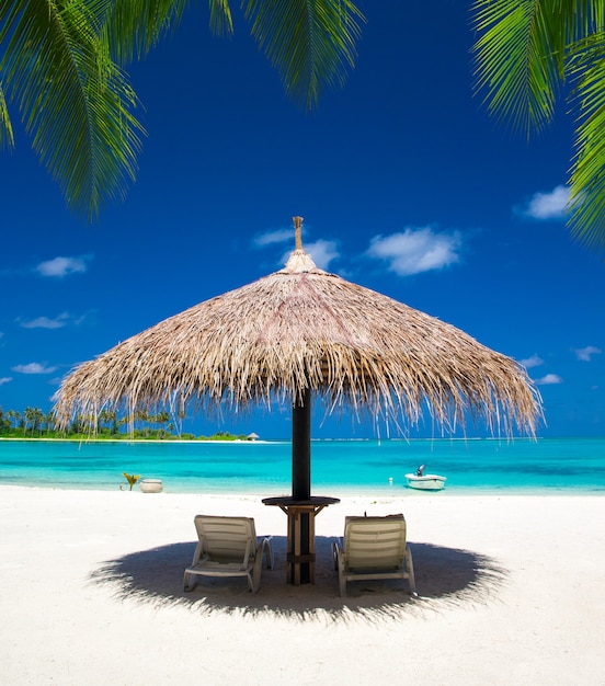 Mare alle maldive. spiaggia tropicale alle maldive con laguna blu