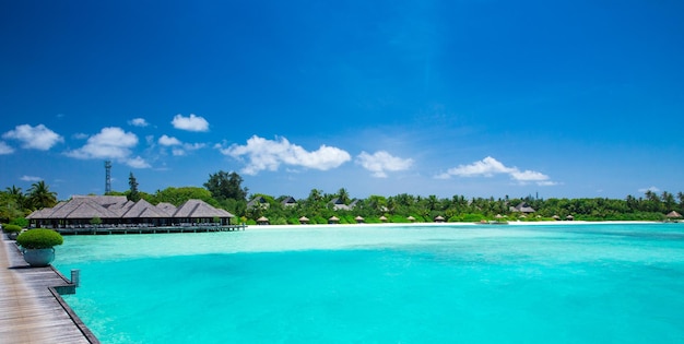 Mare alle maldive spiaggia tropicale delle maldive con laguna blu