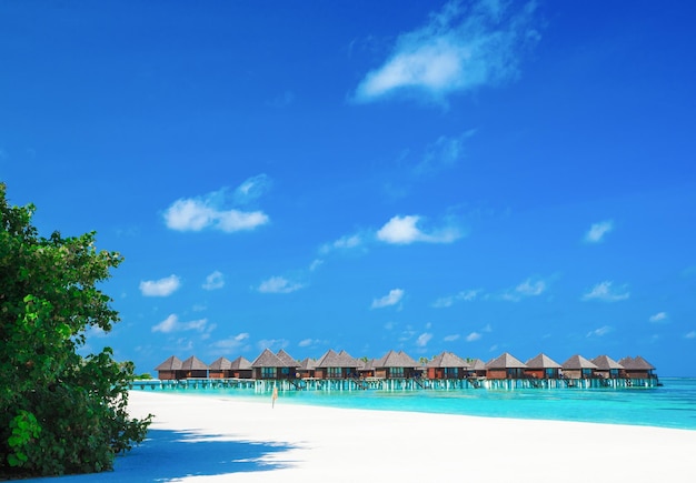 Mare alle maldive