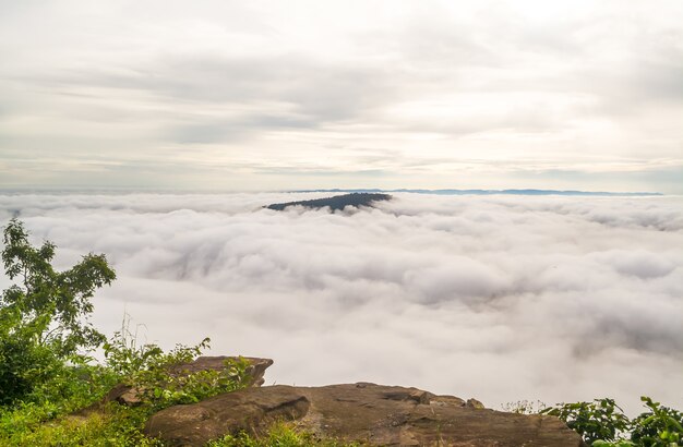 Sea mist on the top of mountain 