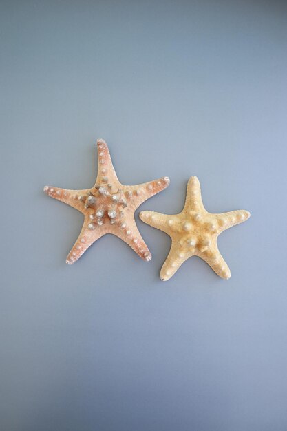 Sea Natural Star