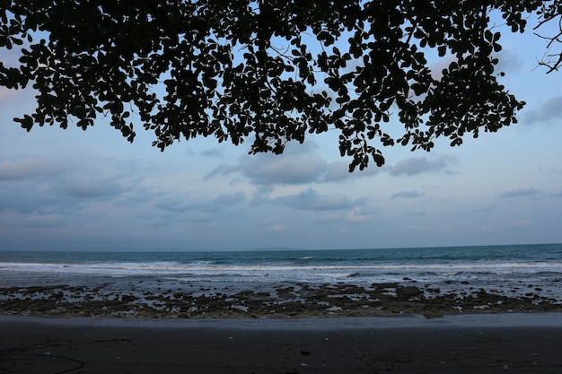 海海の波は、ビーチで岩を打ちます。海景。前景に焦点を当てる