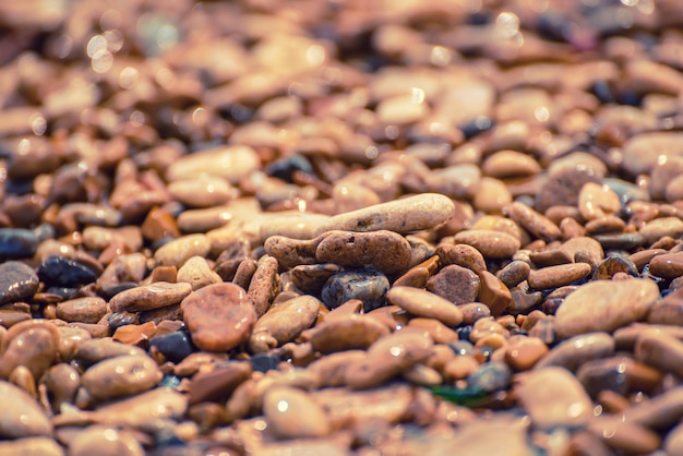 Sea pebble background