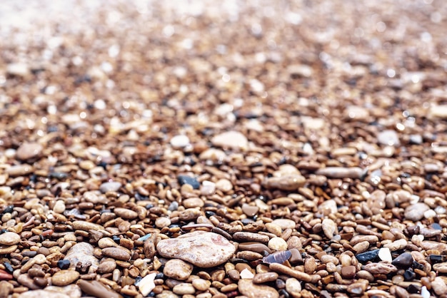 Photo sea pebble background