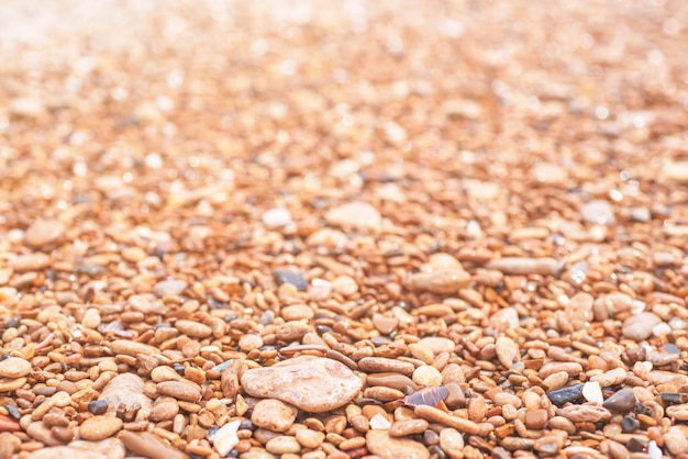 Sea pebble colorful wet background vintage hipster image