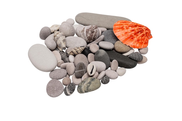 Sea pebbles and shells highlighted on a white background.