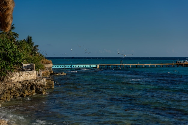 Sea pier on the island of Mujeres