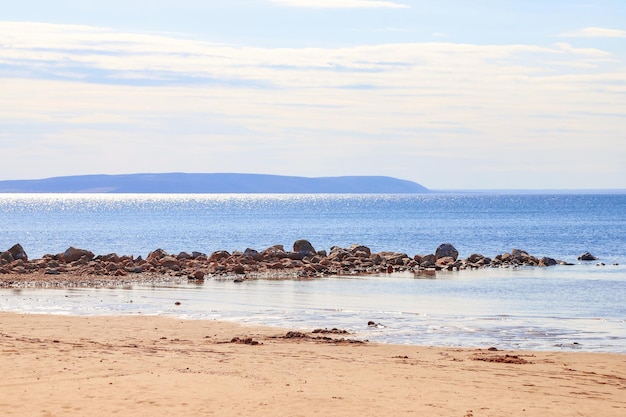 Sea or river coast landscape sunny