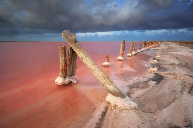 Sea salt on columns in lake