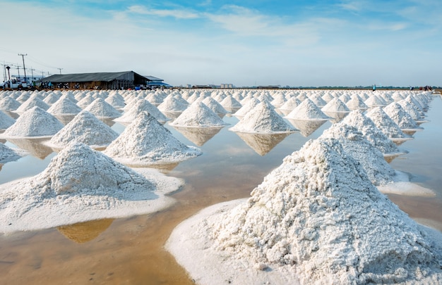 Azienda agricola e granaio del sale marino in tailandia. sale marino biologico materia prima di sale industriale. cloruro di sodio. sistema di evaporazione solare. fonte di iodio lavoratore che lavora in fattoria.