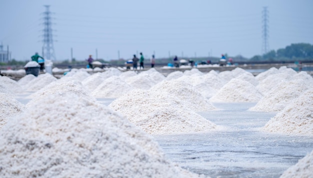 바다 소금 농장과 농장에서 일하는 흐림 작업자 소금물 소금 산업 나트륨의 원료
