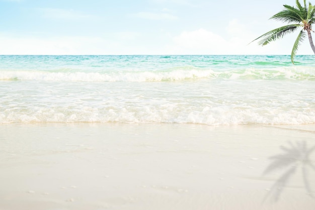 Море на песчаном пляже с пальмойГолубое небо ФонБелая волна Берег воды Горизонт Морской пейзажПрекрасный рай Тропический океанский остров Таиланд Природа на побережье с солнцем для туризма Отдых Отдых