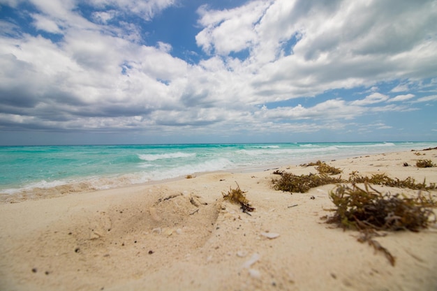 Sea and sand texture from Cancun